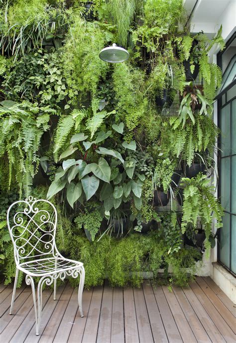 Vertical Wall Garden Is The Best Idea For Saving Some Space Top Dreamer