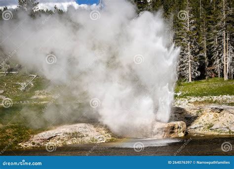 Riverside Geyser Erupting At Yellowstone National Park Stock Image