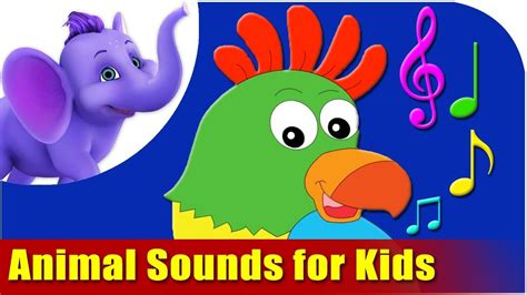Animal Sounds For Kids Youtube