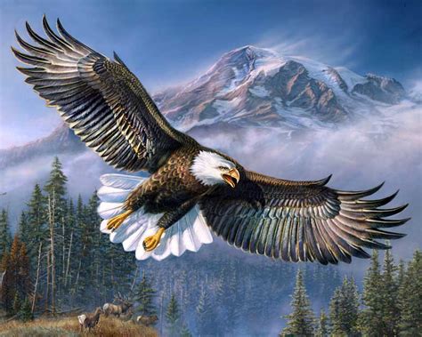 Bald Eagle Paint By Number Kit Masterpiece By Numbers
