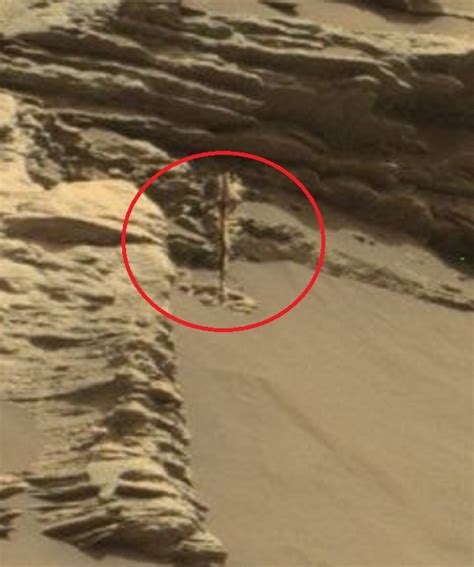 Did Curiosity Photograph A Plant Or Tree On Mars In Sept