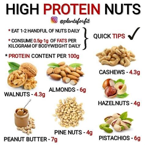 Types Of Nutrient Rich Nuts For Overall Health Rijals Blog