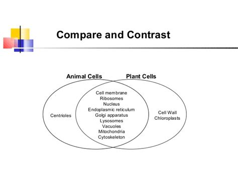 Check spelling or type a new query. Information about the cell