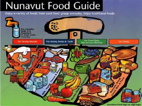 Nunavut Food Guide Nunavut Hss 20011 Download Scientific Diagram