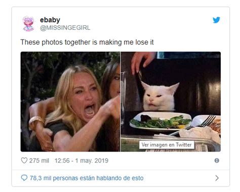 Viral Conozca La Historia Del Meme Del Gato Blanco Distrito Tic