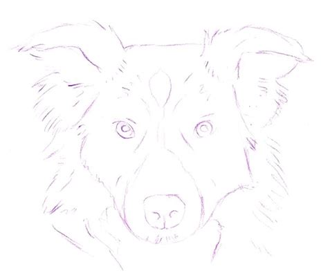 Learn How To Draw Paintings Portraits How To Draw A Dog