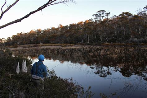 Gallery Riverfly 1864 River And Wilderness Fly Fishing Tasmania