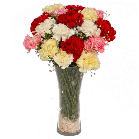 Seventeen Mix Color Carnations Arranged In Vase Best Price