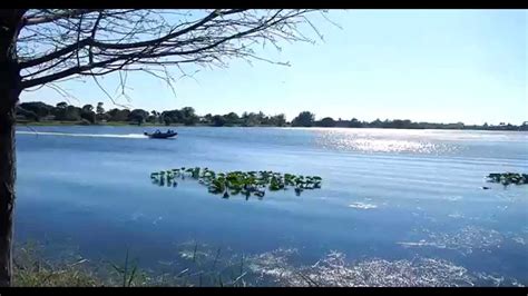 Alligator Lake Osborne Lake Worth Fl Youtube