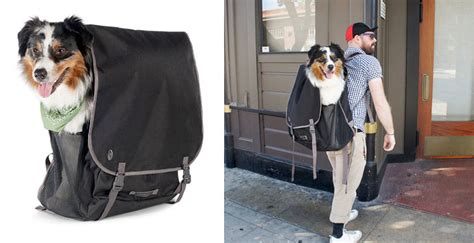 No matter how hungry it is, a cat will never willingly walk into a trap. Until Your Dog Learns How to Ride a Bike, This Timbuk2 ...