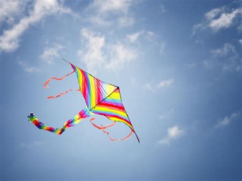 Which of the following options best describe the kite? How startup Kite tried to ruin two open source communities ...