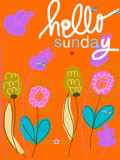 Happy Sunday Sunday Quotes Happy Sunday Hello Sunday