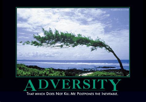Adversity Despair Inc