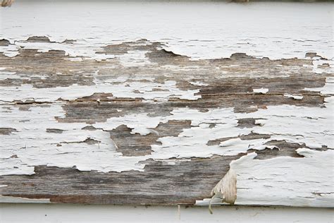 Another Two More Old White Painted Wood Textures Myfreetextures