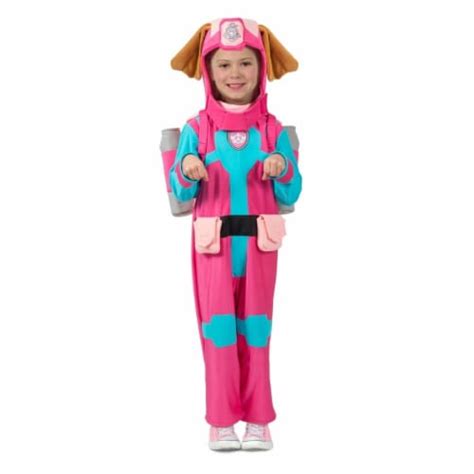 Princess Girls Paw Patrol Sea Patrol Skye Child Costume Small One