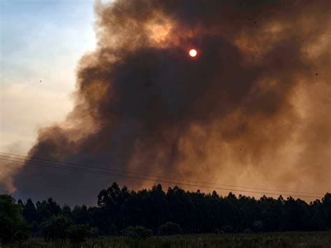 Reporte Oficial Por Los Incendios En Argentina Corrientes En Jaque Por