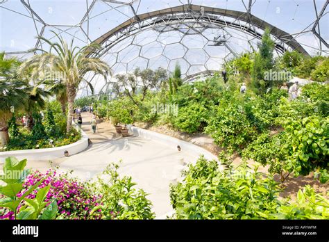 The Mediterranean Warm Temperate Biome At The Eden Project Stock