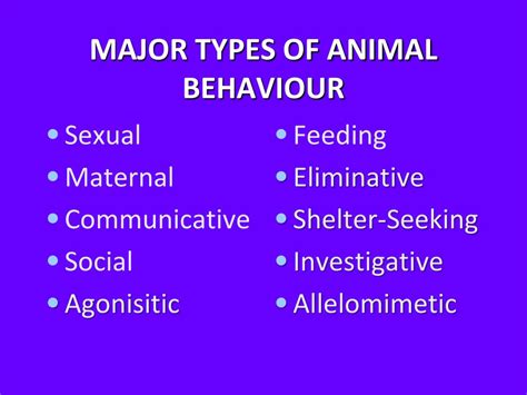 Top 116 Types Of Animal Behaviour With Examples