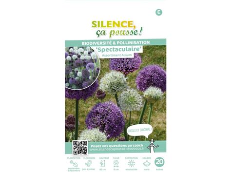 Assortiment Allium Spectaculaire Silence A Pousse