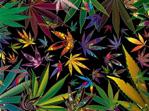 I Love Weed Trippy Wallpapers On Wallpaperdog