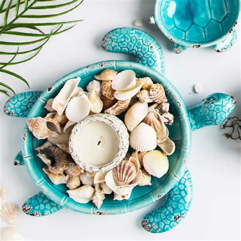 43 Seashell Collection Display Ideas Shell Decor Coastal Dishes