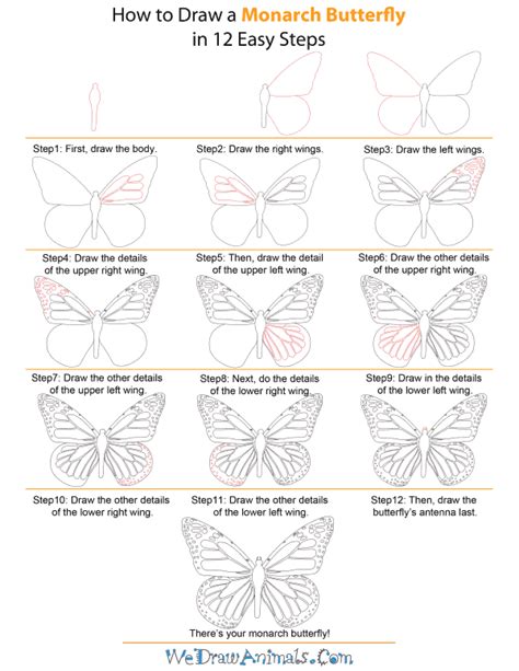 Free Monarch Butterfly Drawing Download Free Monarch Butterfly Drawing