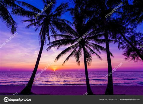 Palm Trees Silhouette At Sunset Sunset And Beach Beautiful Sun Stock