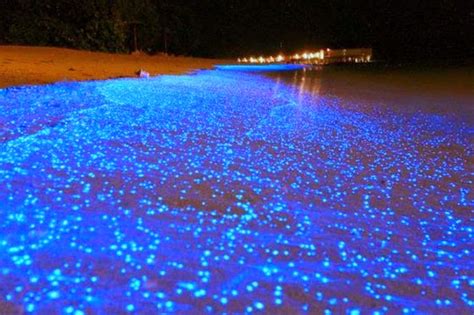 Amazing Places In The World To Visit Maldives Beach At Night