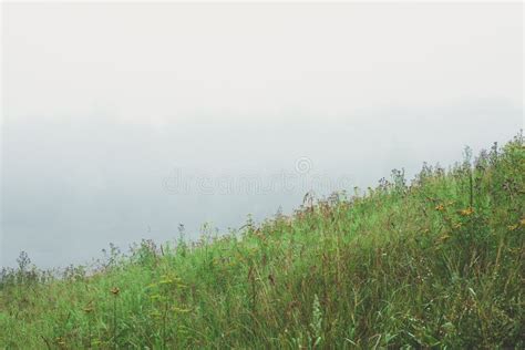A Slope With Mountain Alpine Grasses On A Foggy Morning Minimalist