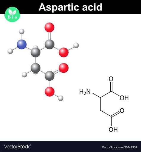 Aspartic Acid Chemical Structure Royalty Free Vector Image