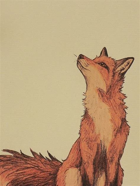 Лисалис лисы лискафэндомыарткрасивые картинки Рисунок лисы