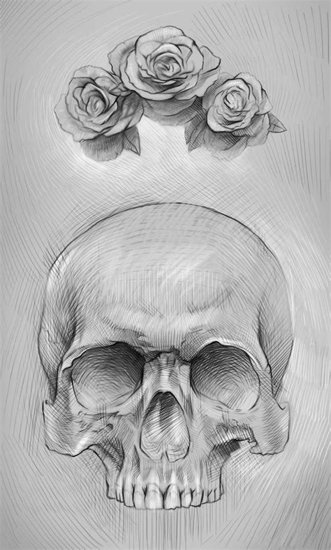 Artstation Explore Skull Art Drawing Skull Drawing Sketches