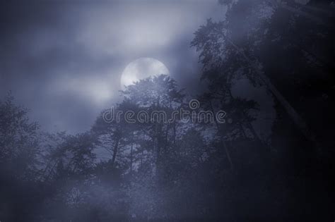 Woods In A Foggy Full Moon Night Stock Photo Image Of Moonlit Moon