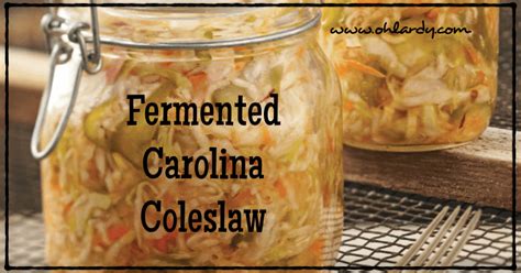 Dieser artikel über einen schauspieler oder eine schauspielerin aus argentinien ist ein stummel. Fermented Carolina Coleslaw