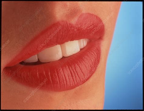 Womans Mouth Stock Image P4700052 Science Photo
