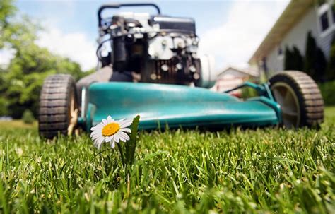 Lawn Maintenance Custom Programs Pittsfield Ma