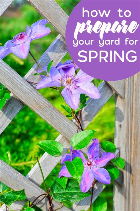 Check out some of our other categorized boards for other great ideas, and thanks for visiting dream yard's pinterest boards. How to Prepare Your Yard for Spring | Backyard garden ...