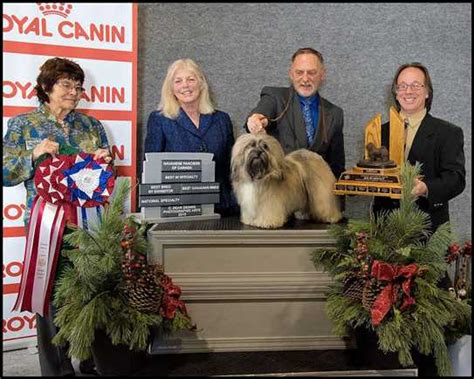 Canadian Kennel Club Club Canin Canadien