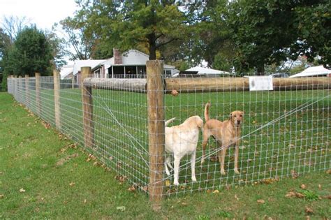 This split rail fence is a diy project that took us far longer than we though. How Much Does It Cost To Fence A Yard? in 2020 | Dog fence ...
