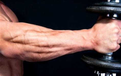 How To Get Bigger And Stronger Forearms Shreddedcore