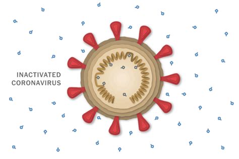 The private chinese company sinovac developed a coronavirus vaccine called coronavac. Sinovac Vaccine Comparison / Chinese Sinovac Covid Vaccine ...