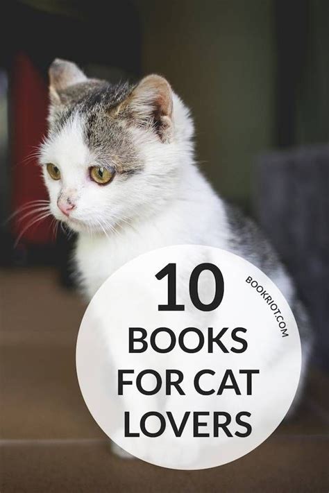 10 Purrfect Cat Books For Cat Lovers Book Riot