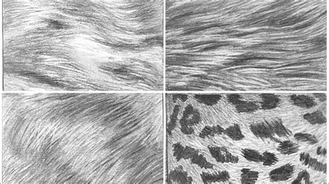 Animal Hair Texture