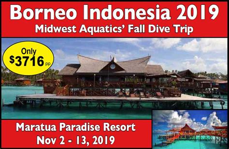 Borneo Indonesia November 2 13 2019 Midwest Aquatics