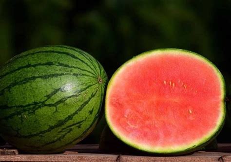 Dưa Hấu Không Hạt Seedless Watermelon Seeds Etsy