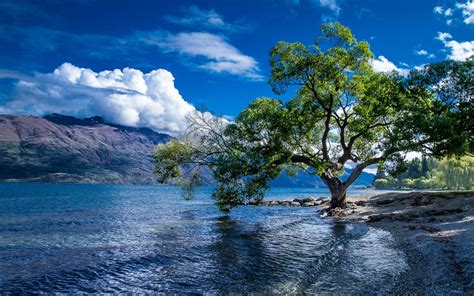 Lake Wakatipu Queenstown New Zealand Landscape Wallpaper