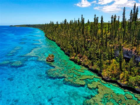 The Isle Of Pines New Caledonia The Golden Scope
