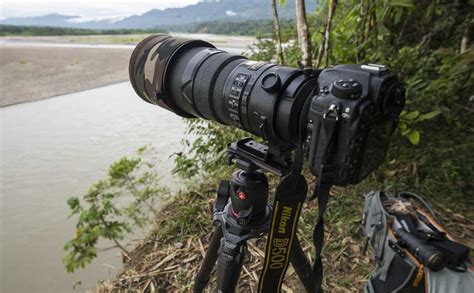 Best Camera And Lens Combo For Wildlife Photography Lensa Kamera Dot Com