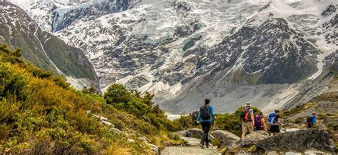 Milford Sound New Zealand Walking Tours