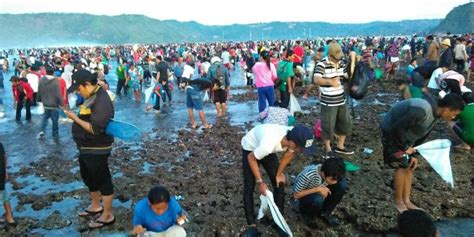 Bau Nyale, Tradisi Maritim dari Nusa Tenggara Barat